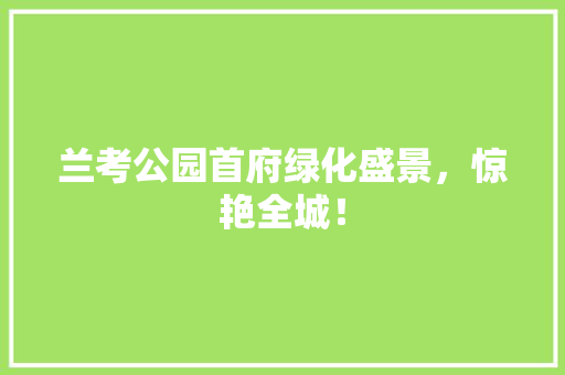 兰考公园首府绿化盛景，惊艳全城！