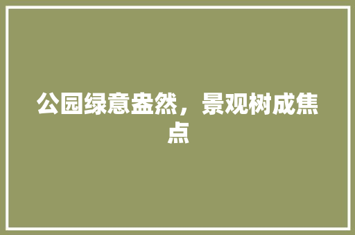 公园绿意盎然，景观树成焦点