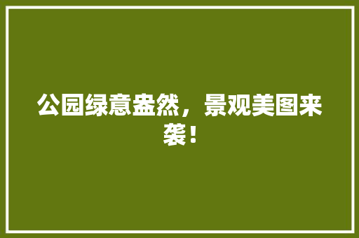 公园绿意盎然，景观美图来袭！