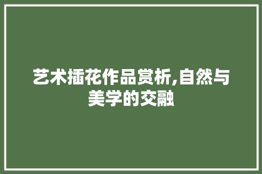 艺术插花作品赏析,自然与美学的交融 水果育苗