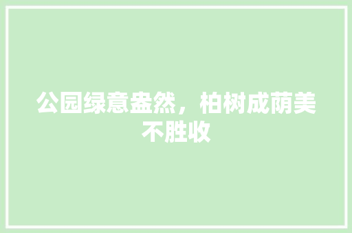 公园绿意盎然，柏树成荫美不胜收