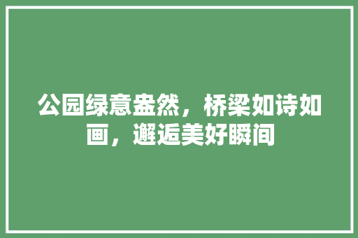 公园绿意盎然，桥梁如诗如画，邂逅美好瞬间