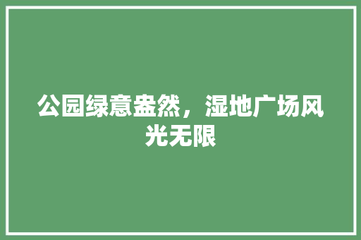 公园绿意盎然，湿地广场风光无限