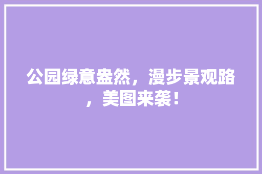 公园绿意盎然，漫步景观路，美图来袭！