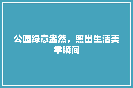 公园绿意盎然，照出生活美学瞬间