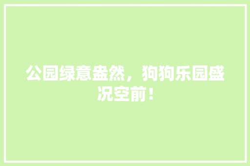 公园绿意盎然，狗狗乐园盛况空前！