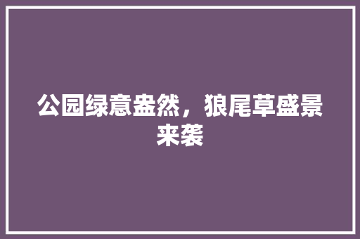 公园绿意盎然，狼尾草盛景来袭