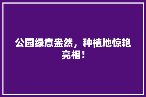 公园绿意盎然，种植地惊艳亮相！