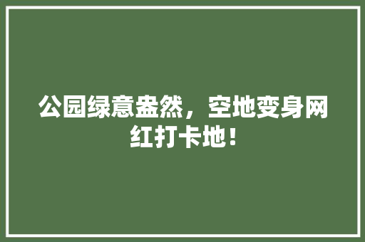 公园绿意盎然，空地变身网红打卡地！