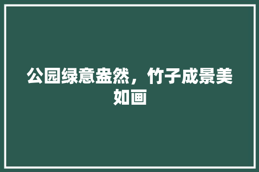 公园绿意盎然，竹子成景美如画