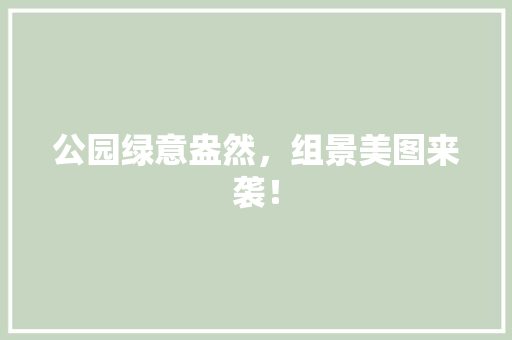 公园绿意盎然，组景美图来袭！