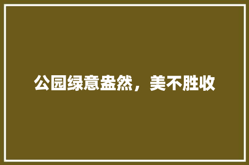 公园绿意盎然，美不胜收