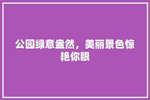 公园绿意盎然，美丽景色惊艳你眼
