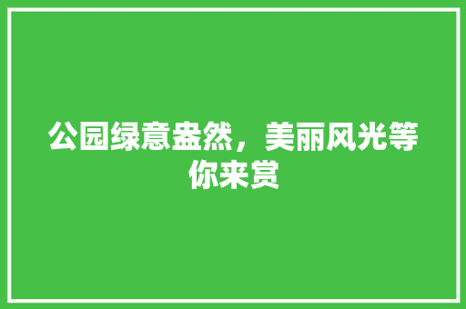 公园绿意盎然，美丽风光等你来赏