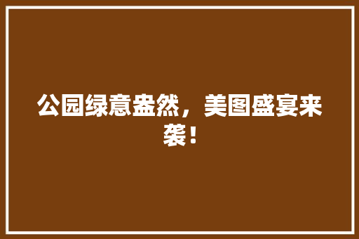 公园绿意盎然，美图盛宴来袭！