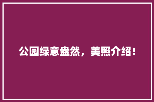 公园绿意盎然，美照介绍！