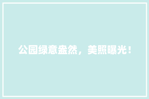 公园绿意盎然，美照曝光！