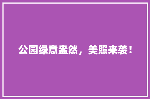 公园绿意盎然，美照来袭！