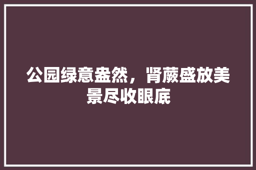 公园绿意盎然，肾蕨盛放美景尽收眼底