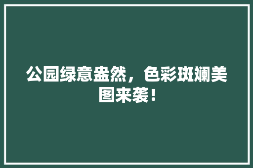 公园绿意盎然，色彩斑斓美图来袭！