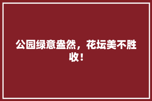 公园绿意盎然，花坛美不胜收！