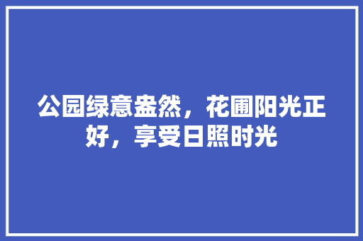 公园绿意盎然，花圃阳光正好，享受日照时光
