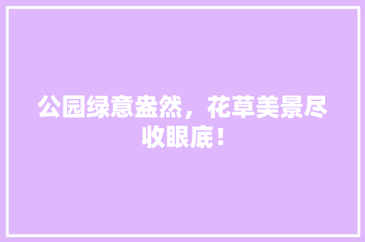 公园绿意盎然，花草美景尽收眼底！