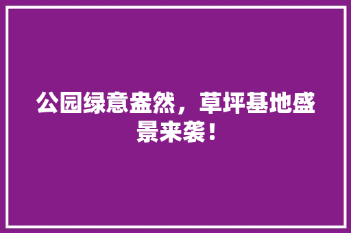 公园绿意盎然，草坪基地盛景来袭！