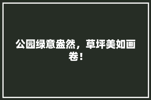 公园绿意盎然，草坪美如画卷！