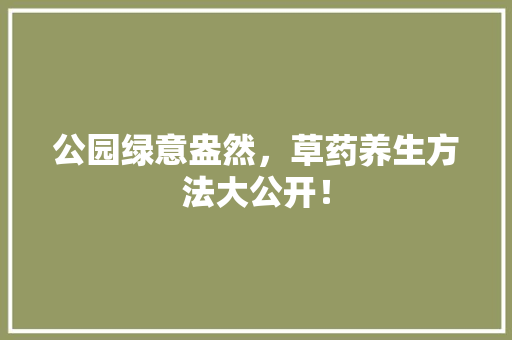 公园绿意盎然，草药养生方法大公开！ 无土育苗