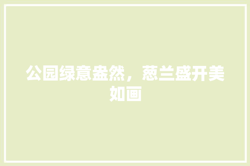 公园绿意盎然，葱兰盛开美如画
