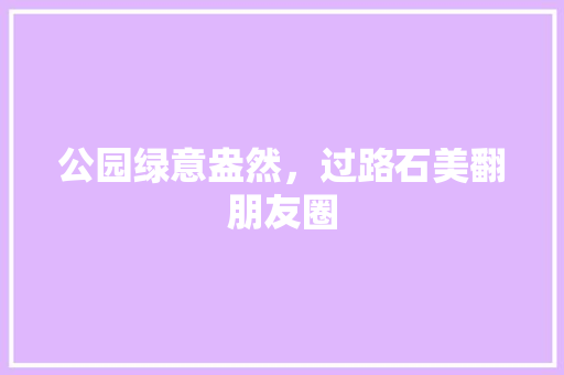 公园绿意盎然，过路石美翻朋友圈