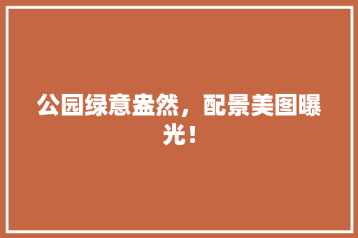 公园绿意盎然，配景美图曝光！