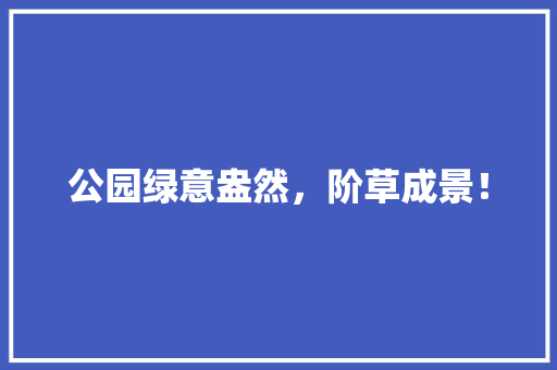 公园绿意盎然，阶草成景！