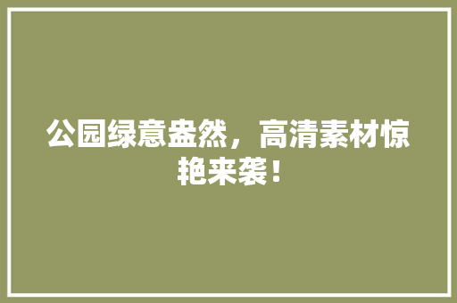 公园绿意盎然，高清素材惊艳来袭！
