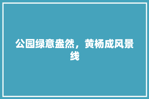 公园绿意盎然，黄杨成风景线 林木育苗