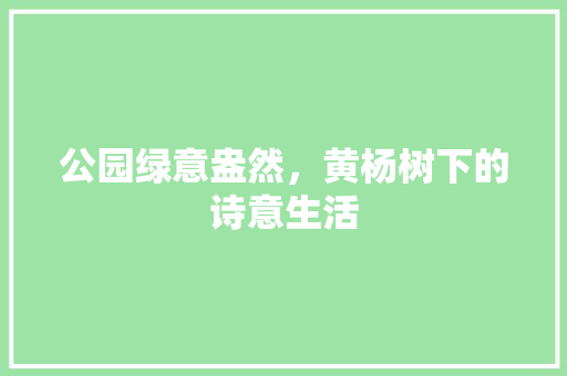 公园绿意盎然，黄杨树下的诗意生活