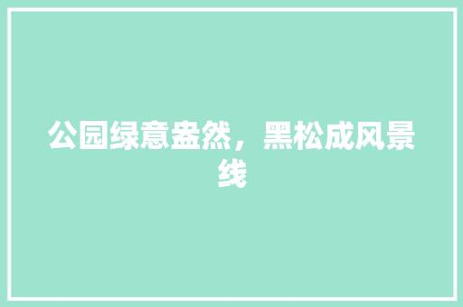 公园绿意盎然，黑松成风景线