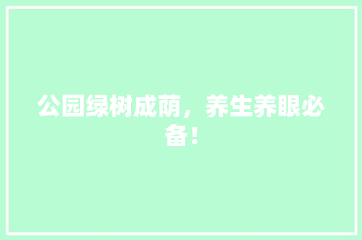公园绿树成荫，养生养眼必备！