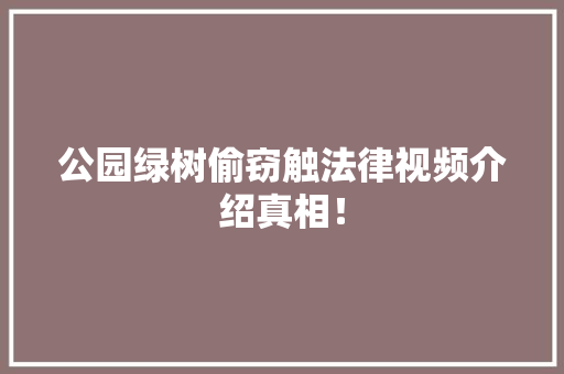 公园绿树偷窃触法律视频介绍真相！