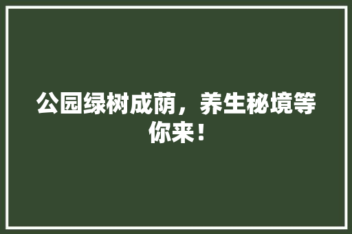 公园绿树成荫，养生秘境等你来！