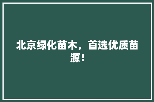 北京绿化苗木，首选优质苗源！