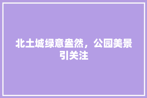 北土城绿意盎然，公园美景引关注