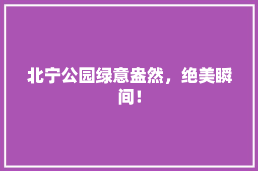 北宁公园绿意盎然，绝美瞬间！