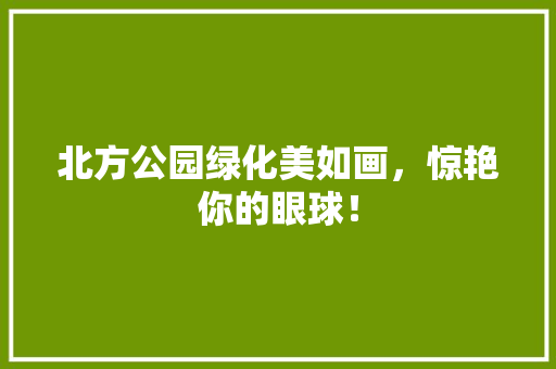 北方公园绿化美如画，惊艳你的眼球！