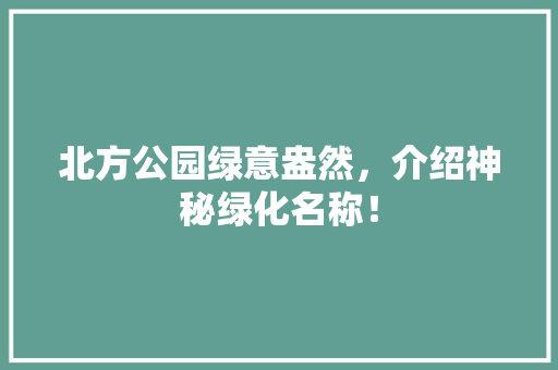 北方公园绿意盎然，介绍神秘绿化名称！