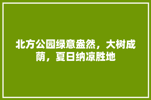 北方公园绿意盎然，大树成荫，夏日纳凉胜地