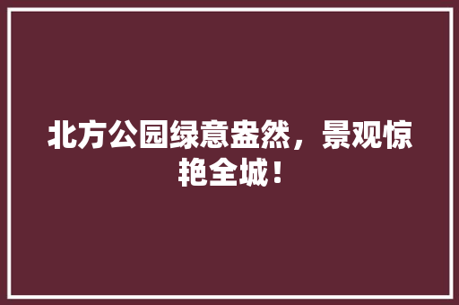 北方公园绿意盎然，景观惊艳全城！
