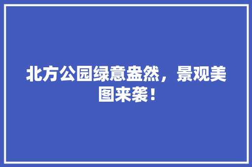北方公园绿意盎然，景观美图来袭！