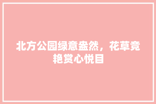 北方公园绿意盎然，花草竞艳赏心悦目